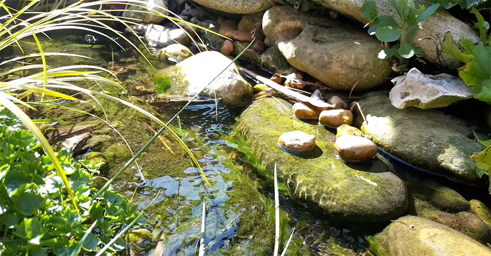 Finished garden stream water feature
