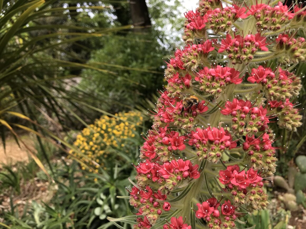 Tower of jewels